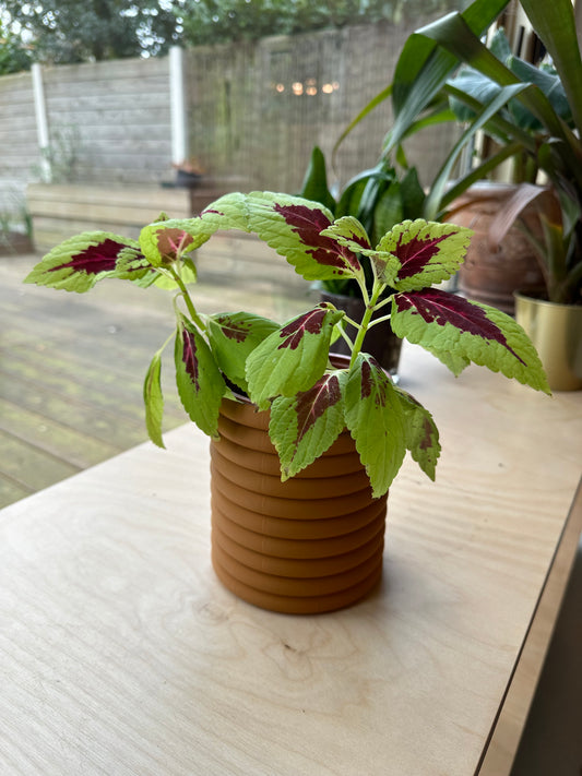 Rollo plantenpot met verborgen druipschaal