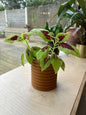 Rollo plantenpot met verborgen druipschaal