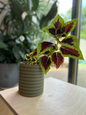 Rollo plantenpot met verborgen druipschaal